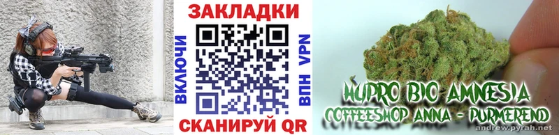 Виды наркоты Светлогорск Конопля  Меф  Гашиш 