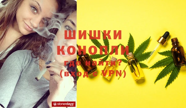 стафф Усолье-Сибирское